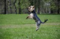 /album/fotogalerie/dsc0902-2-jpg/
